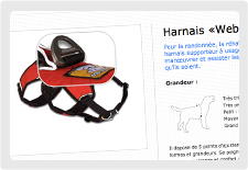 Parmi nos dernières réalisations : <em>Art des Animaux, une boutique en ligne et un blog</em>