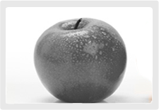 Créer de la <strong> valeur</strong> commerciale, humaine et financière en utilisant le web 2.0 4